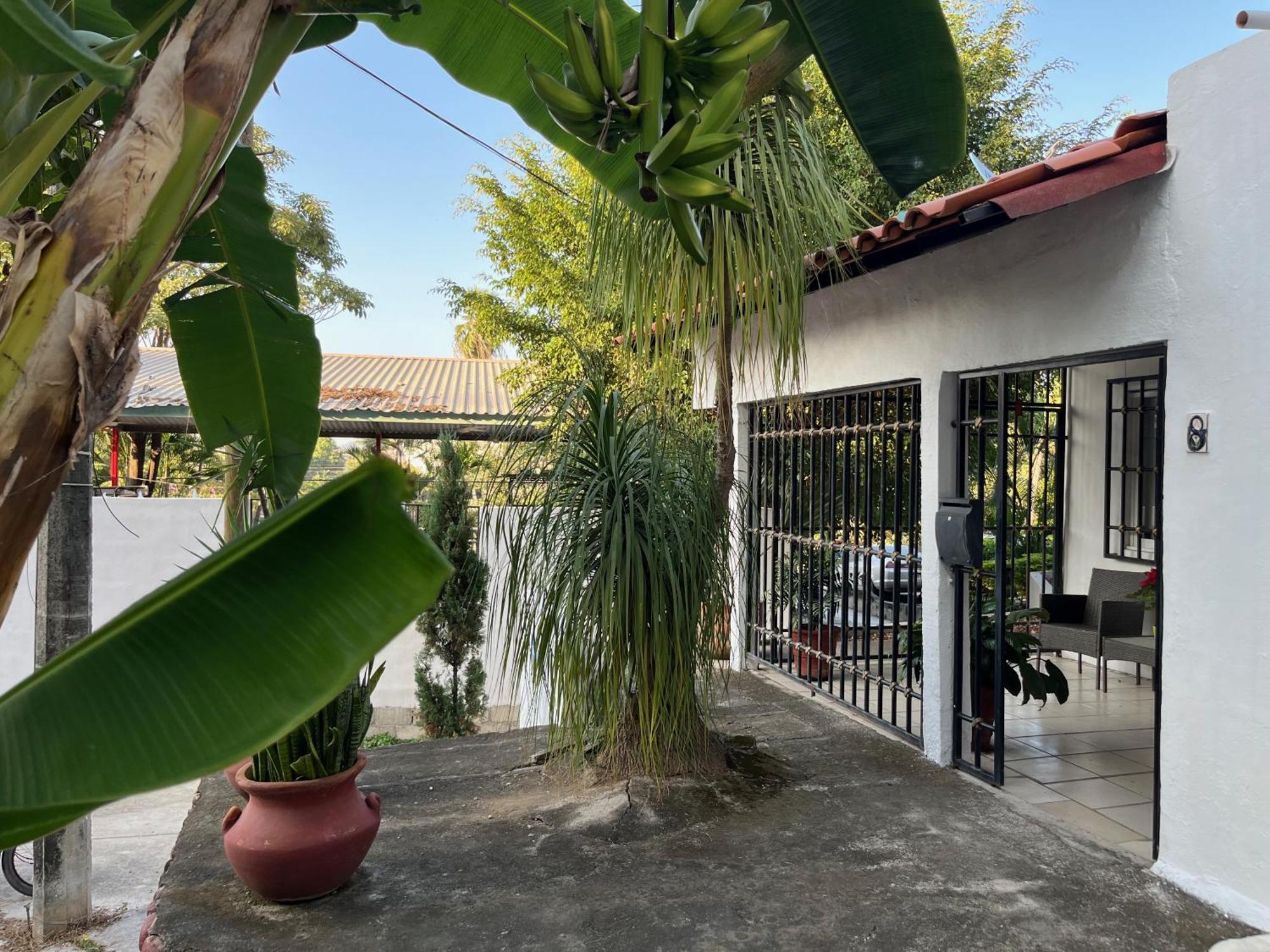 La Palmier - Your Quiet House
