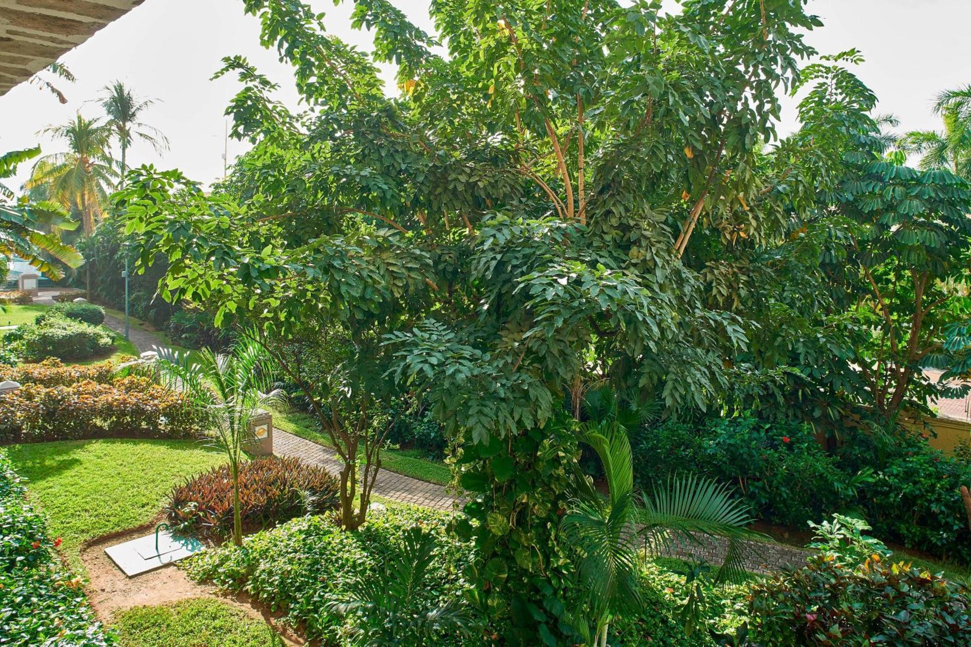 Marriott & Resort 5*