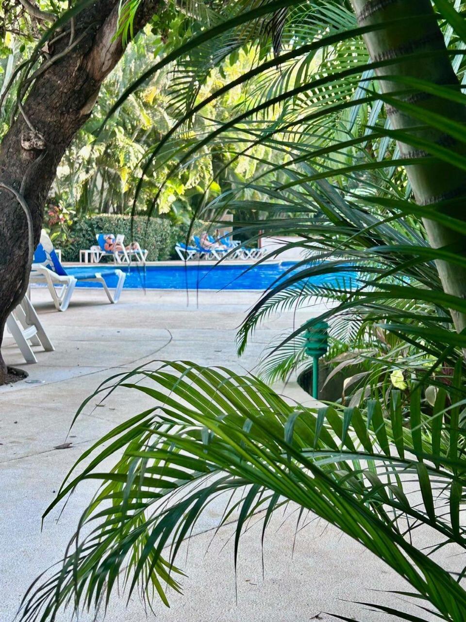 Apartment 2 Bedroom Treetop Puerto Vallarta