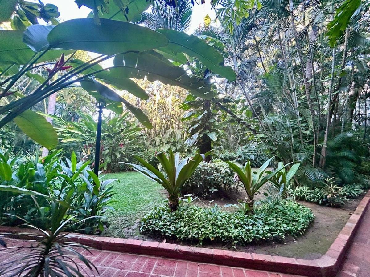 Apartment 2 Bedroom Treetop Puerto Vallarta