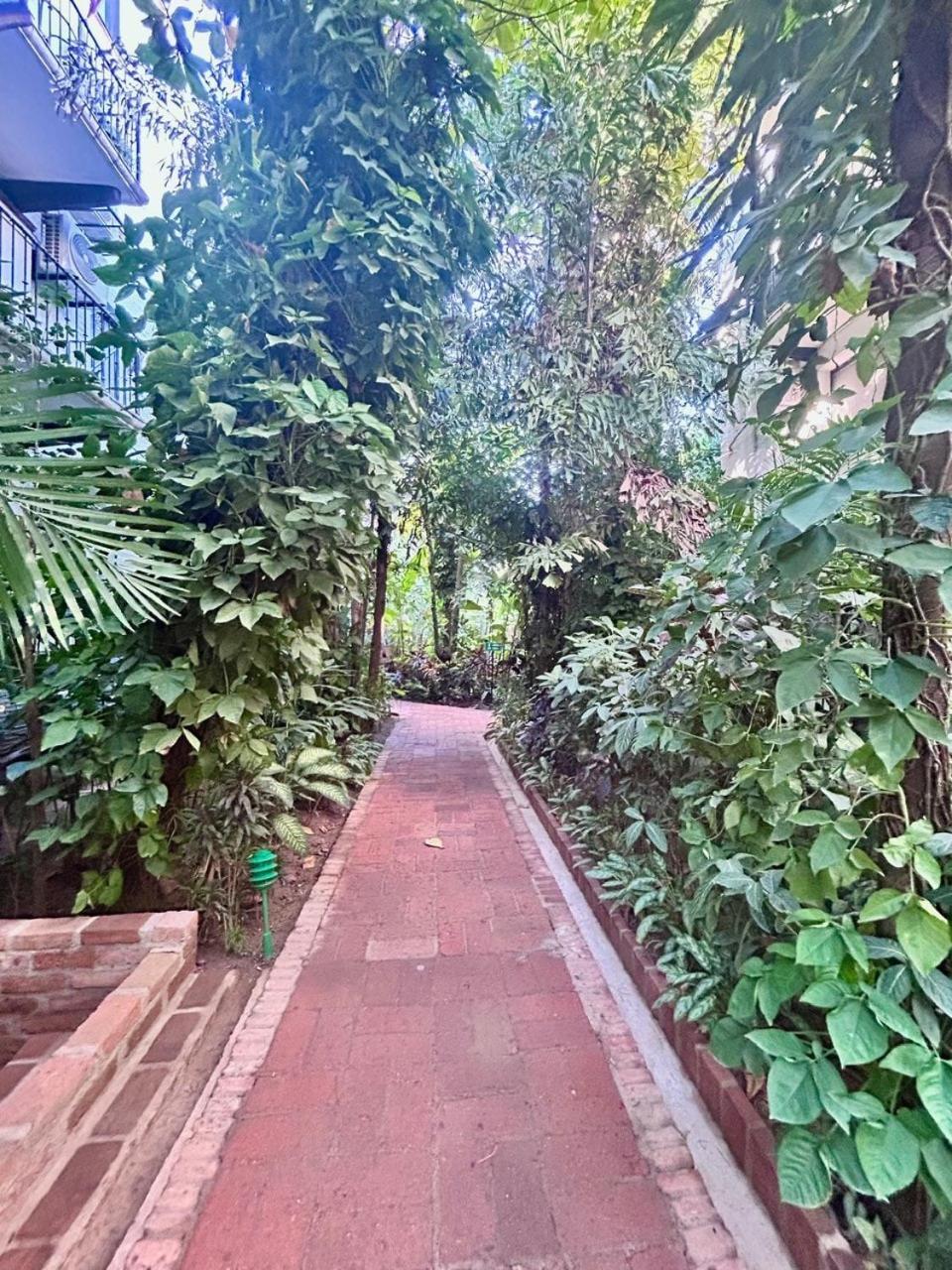 2 Bedroom Treetop *