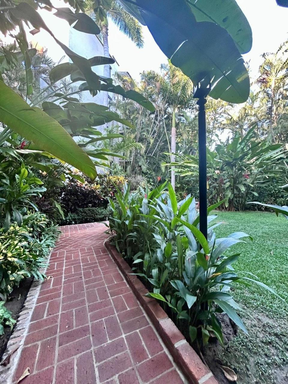 2 Bedroom Treetop * Puerto Vallarta