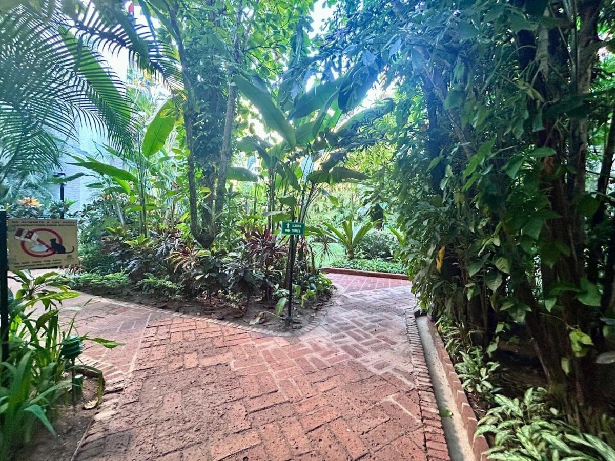 2 Bedroom Treetop Apartment