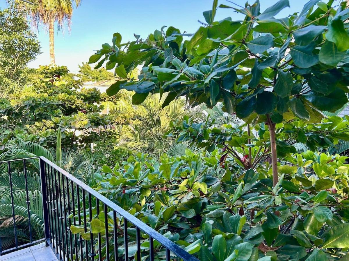 2 Bedroom Treetop Apartment *