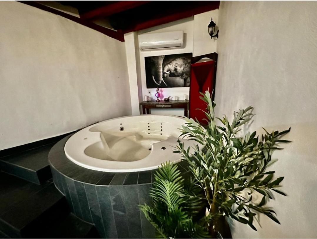 Villa Luxury In Puerto Vallarta