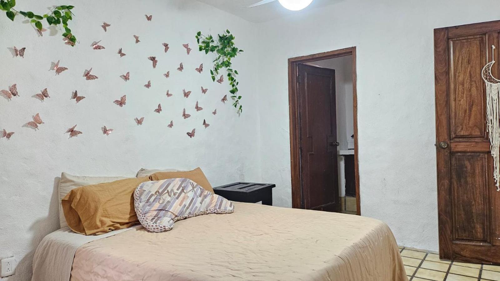 Apartamento Rustico Con Alberca En Versalles *