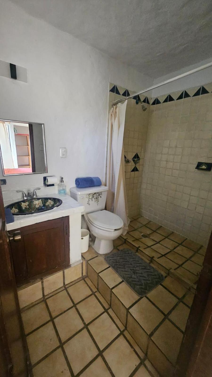 Apartamento Rustico Con Alberca En Versalles
