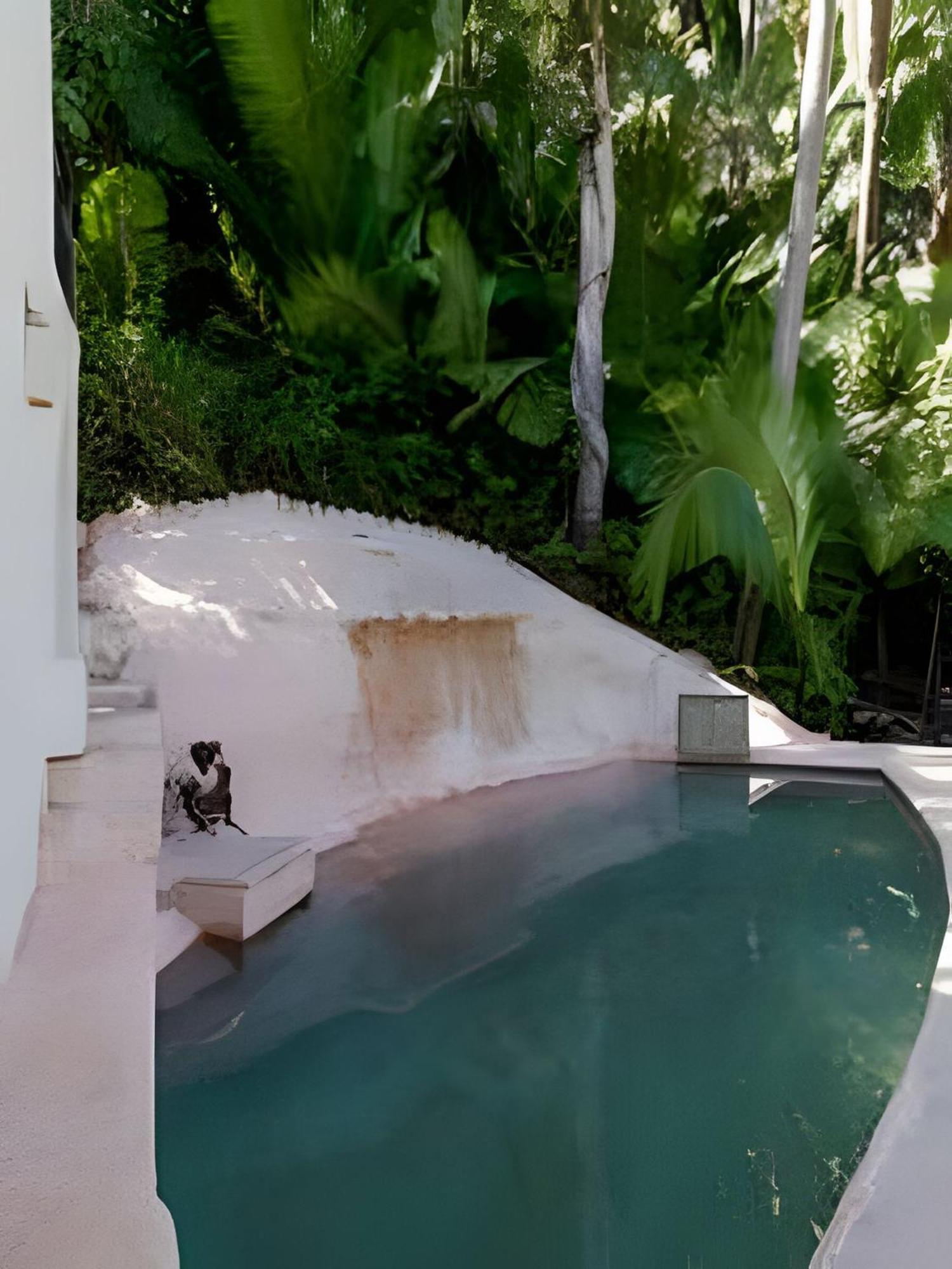 Apartment Ecosoul Libelula Puerto Vallarta