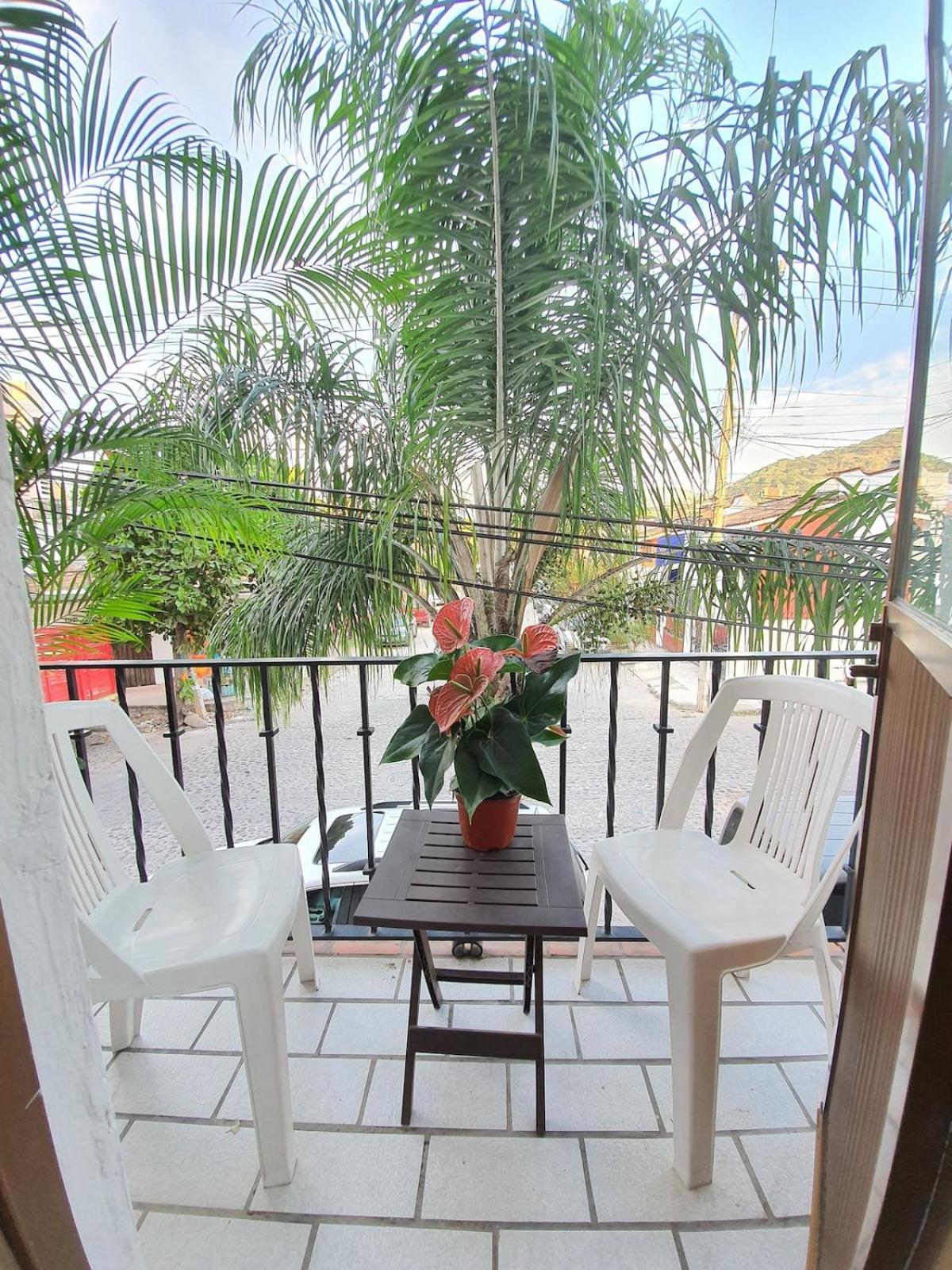 Apartment Cozy & Bright Near The And Close Walk To Malecon *
