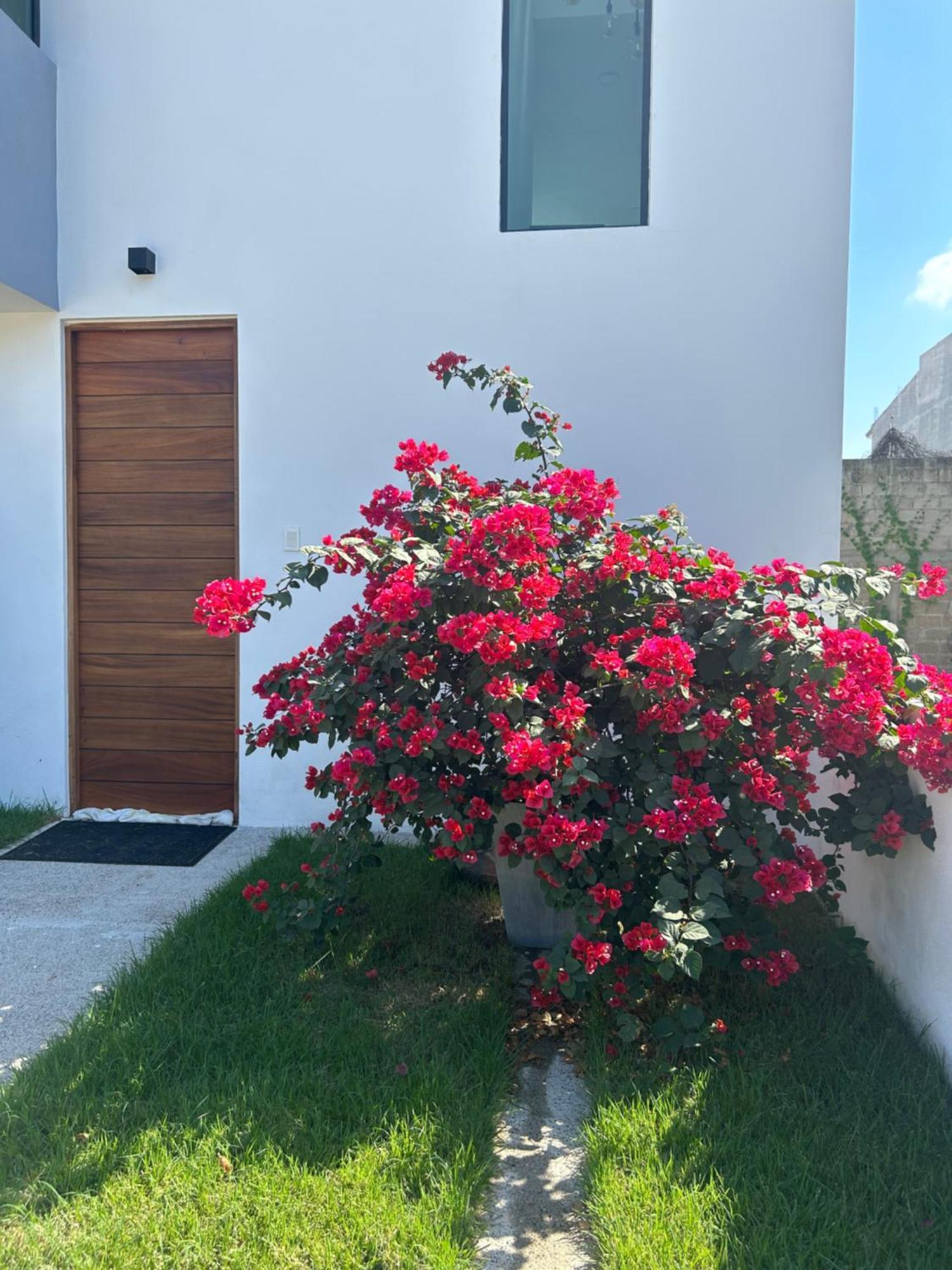 El Jardin Escondido Ixtapa Villa *