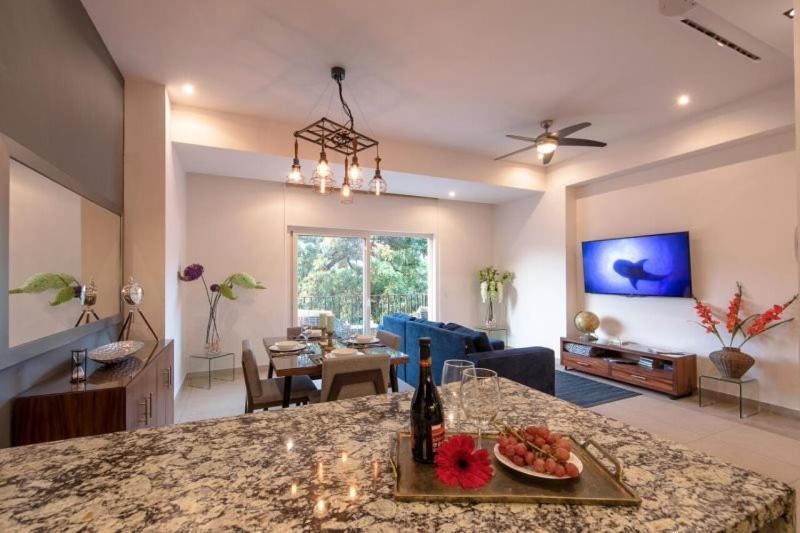 Apartment Zenith Unit #307