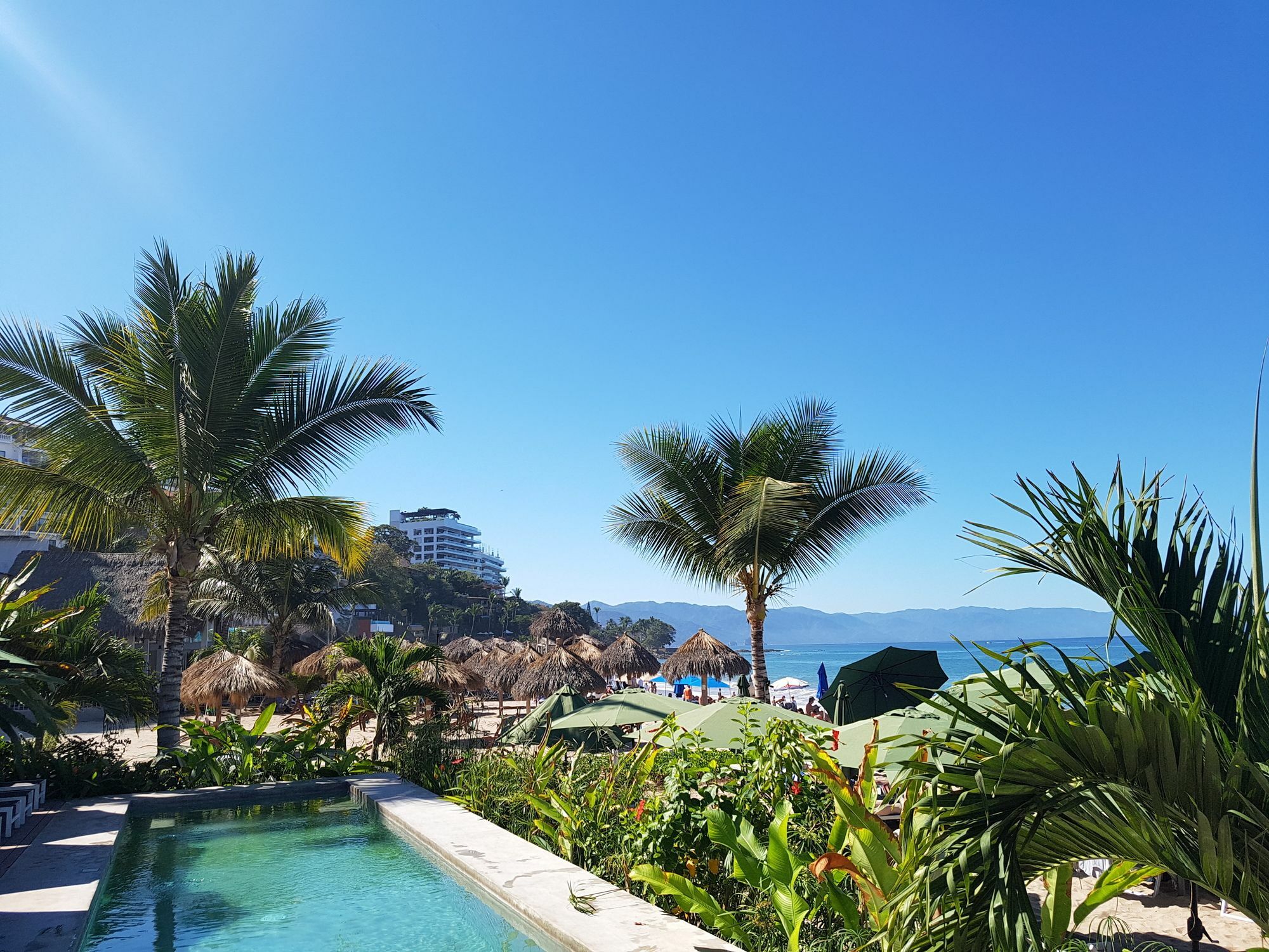 At Sapphire Ocean Club Apartment Puerto Vallarta