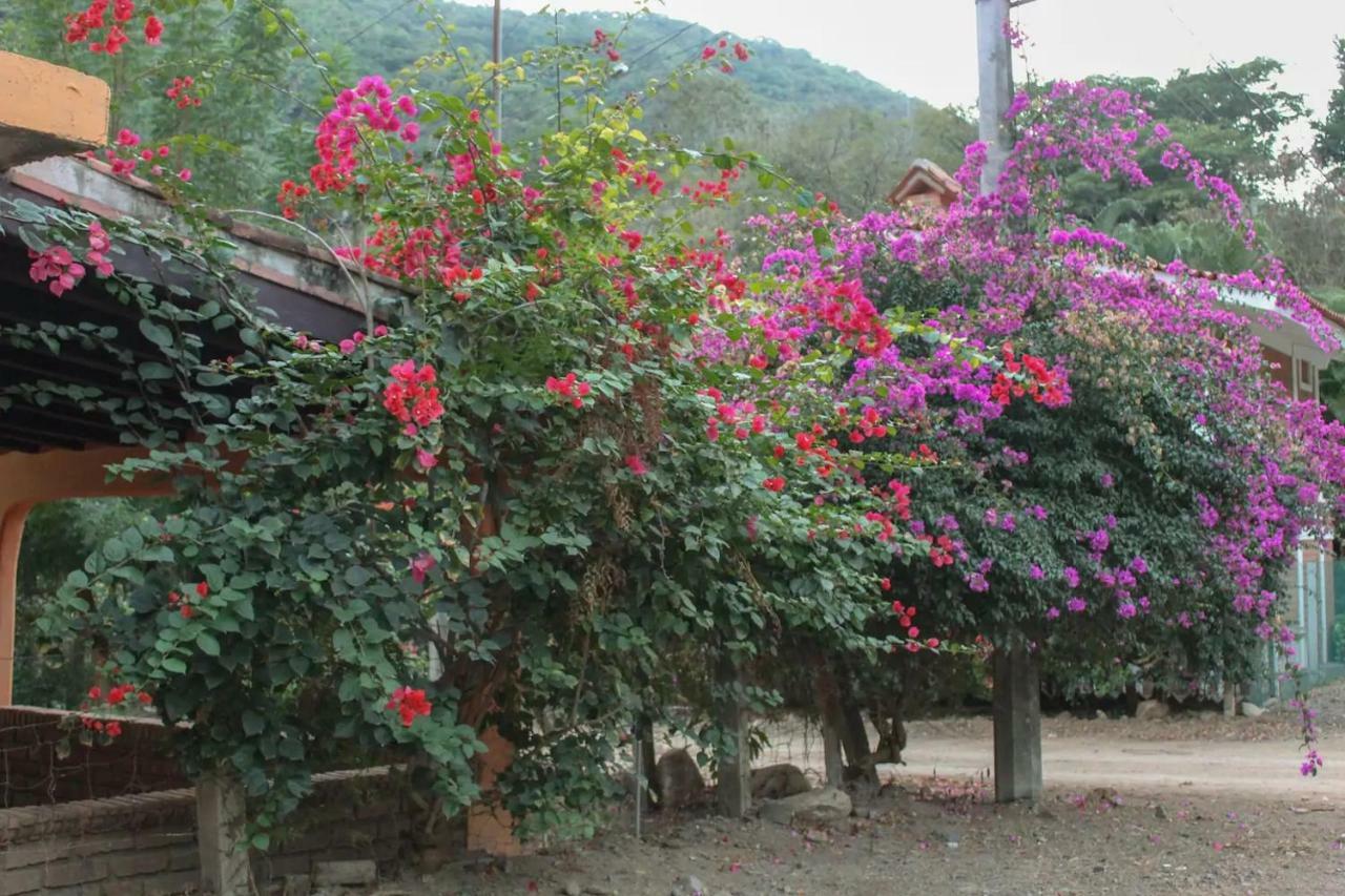 Casa La Potranca Habitación en casa particular