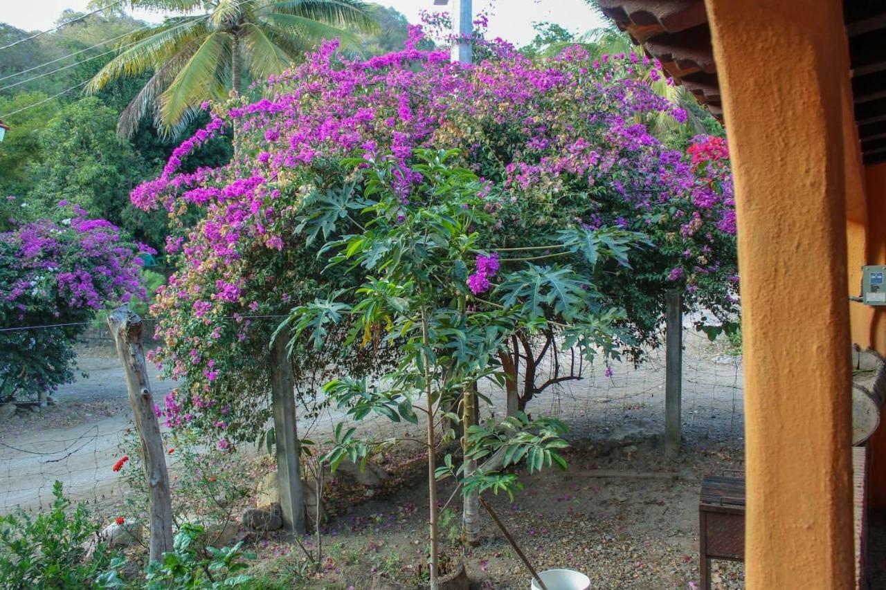 Casa La Potranca Habitación en casa particular Puerto Vallarta