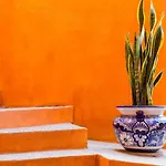 Orange Sunsets, Lush Landscape, Intown, Privacy