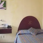 Mocali