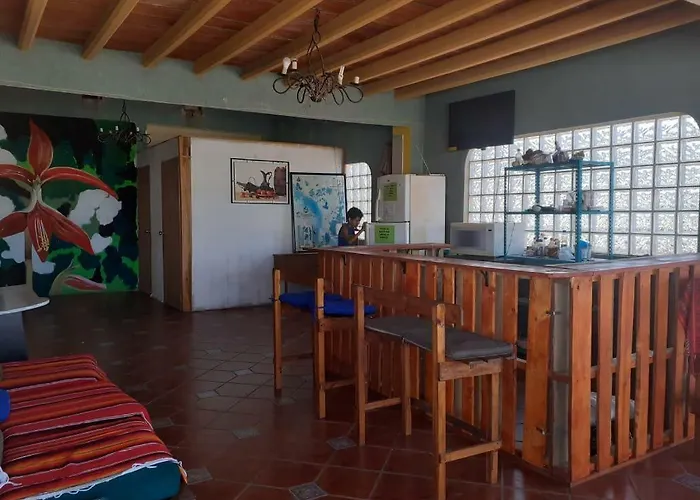 Hostal Enjoy Vallarta 19