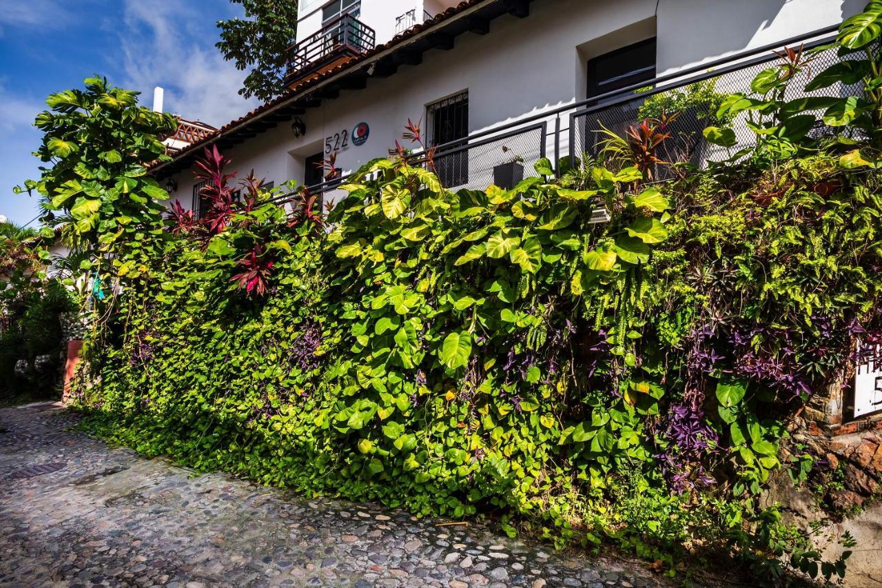 Hotel Hotel 522, Puerto Vallarta Puerto Vallarta