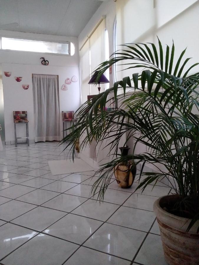 Boutique Basic Hotel Puerto Vallarta