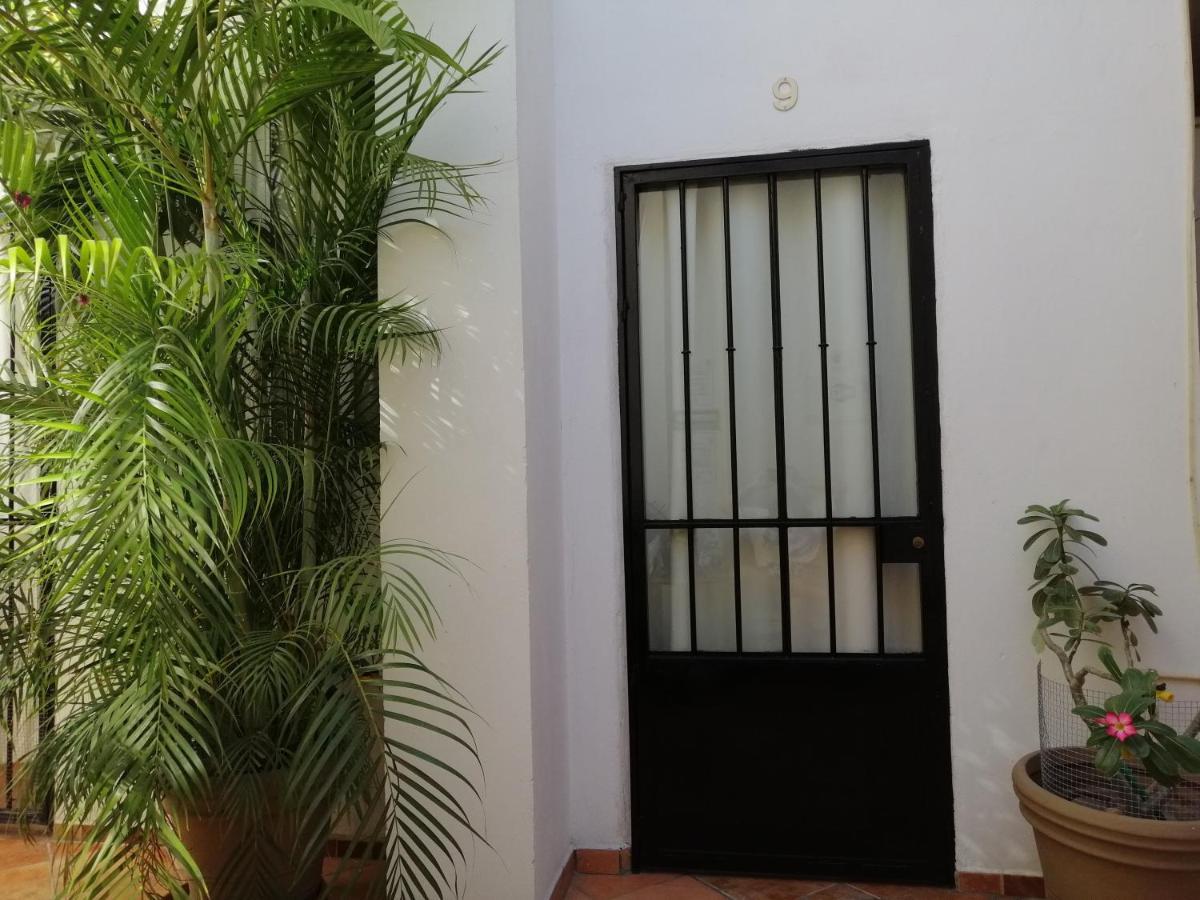 Casa Adriana Hostel Puerto Vallarta