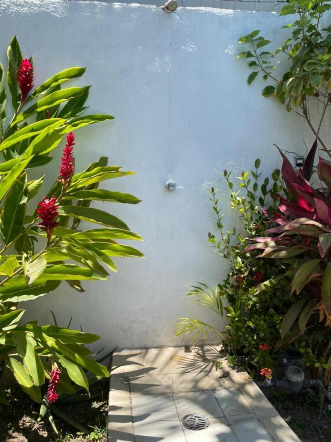 Apartment Nidito Vallartense Puerto Vallarta