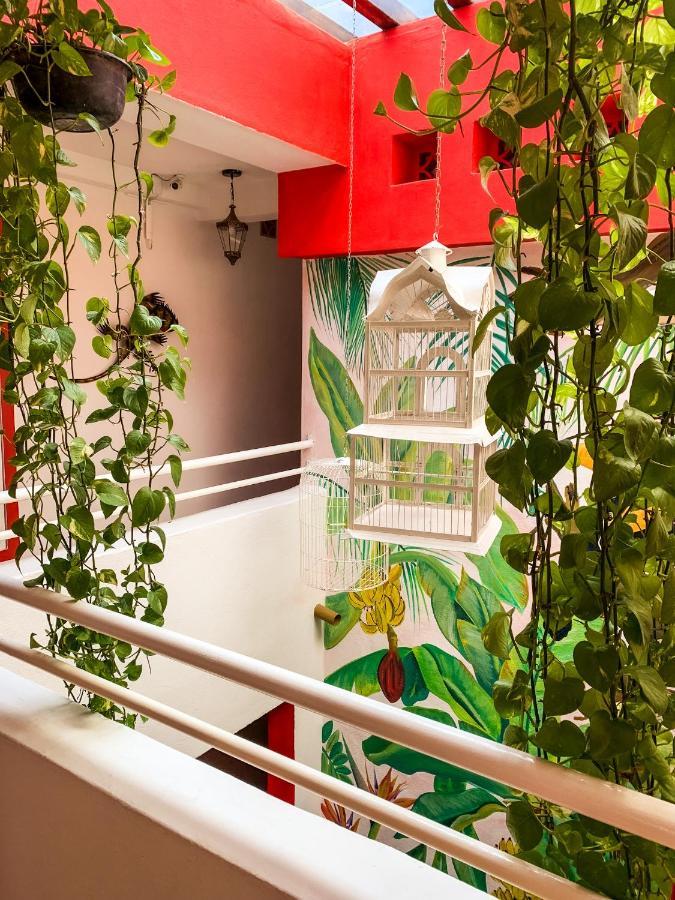 La Iguana Vallarta Lgbt Adults Only - Romantic Zone - Party Clubbing Street Hotel 3*