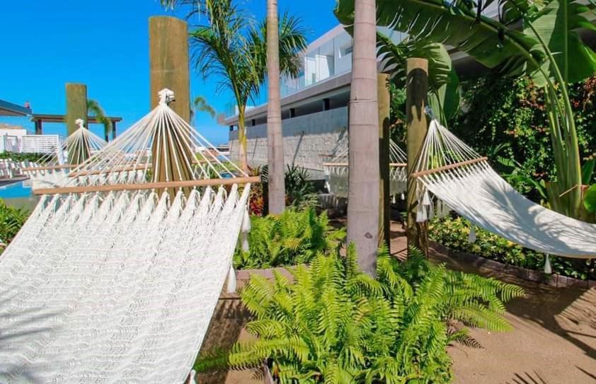 Apartamento Condominio En Zona Romántica, Avida Residences Departamento 609 *
