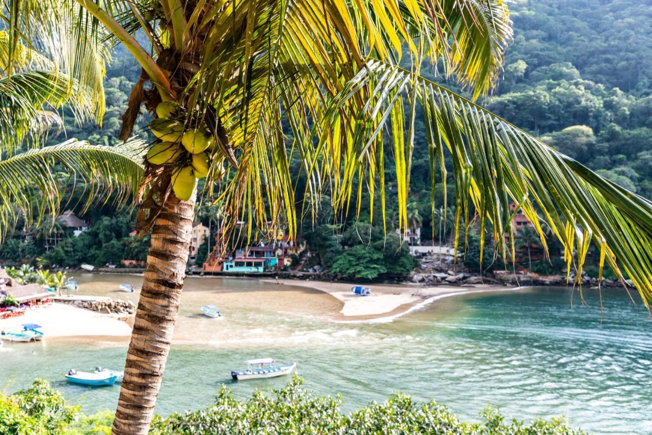 South Shore Armonia Luxury Boutique * Puerto Vallarta