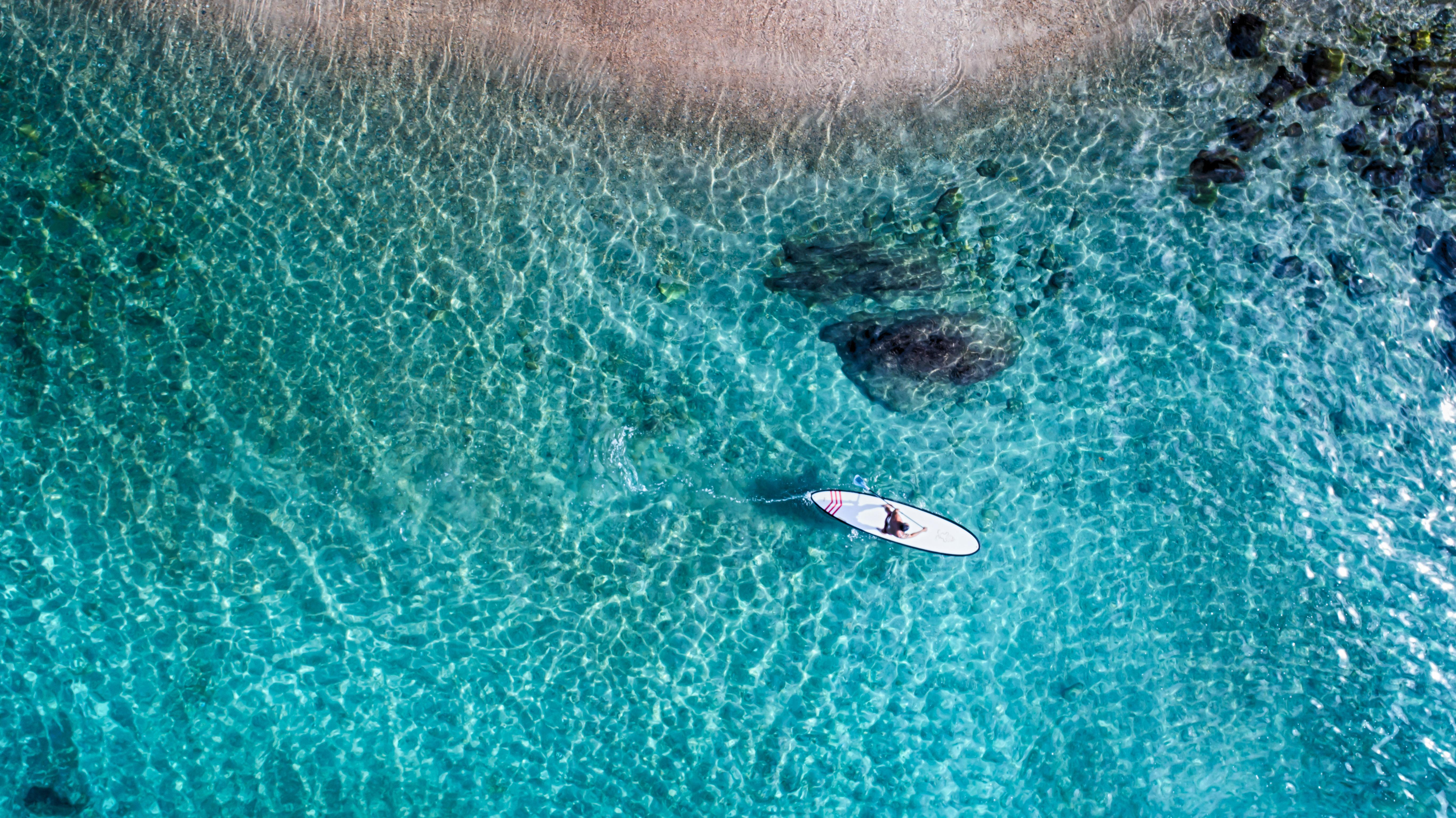 Costa Sur & Puerto Vallarta
