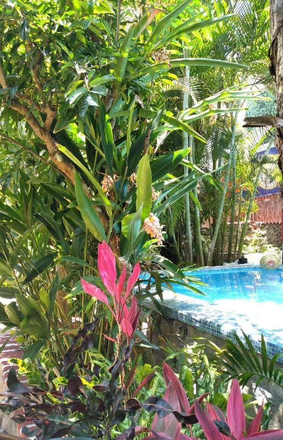 Casa Antahkarana Bed & Breakfast Puerto Vallarta