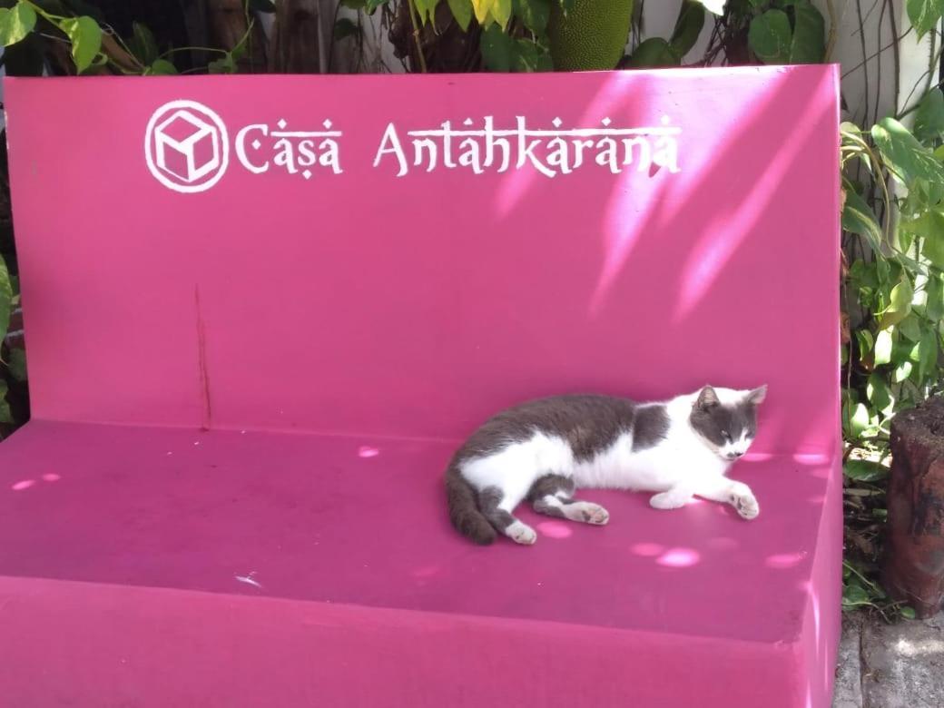 Bed & Breakfast Casa Antahkarana Puerto Vallarta