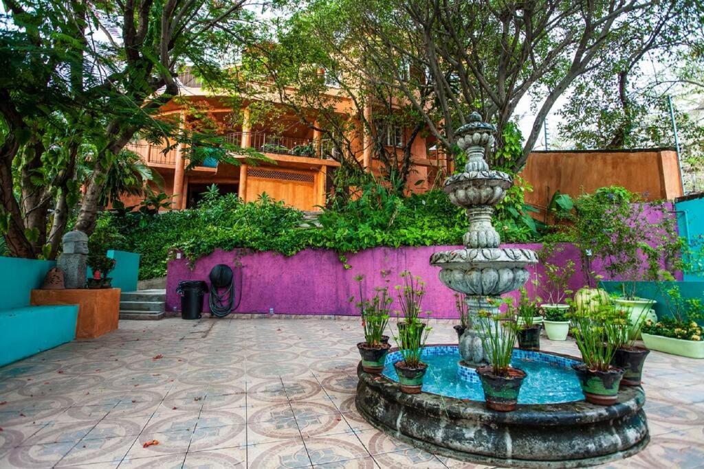 Orange Sunsets, Lush Landscape, Intown, Privacy * Puerto Vallarta