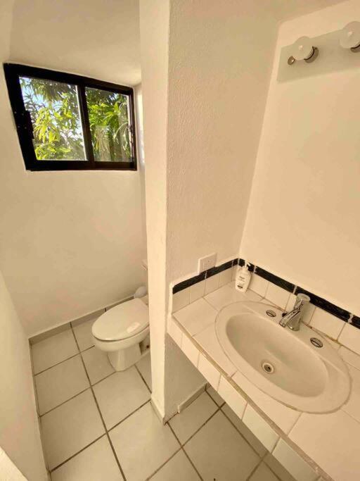 Del Mar Pv Private Oceanfront *
