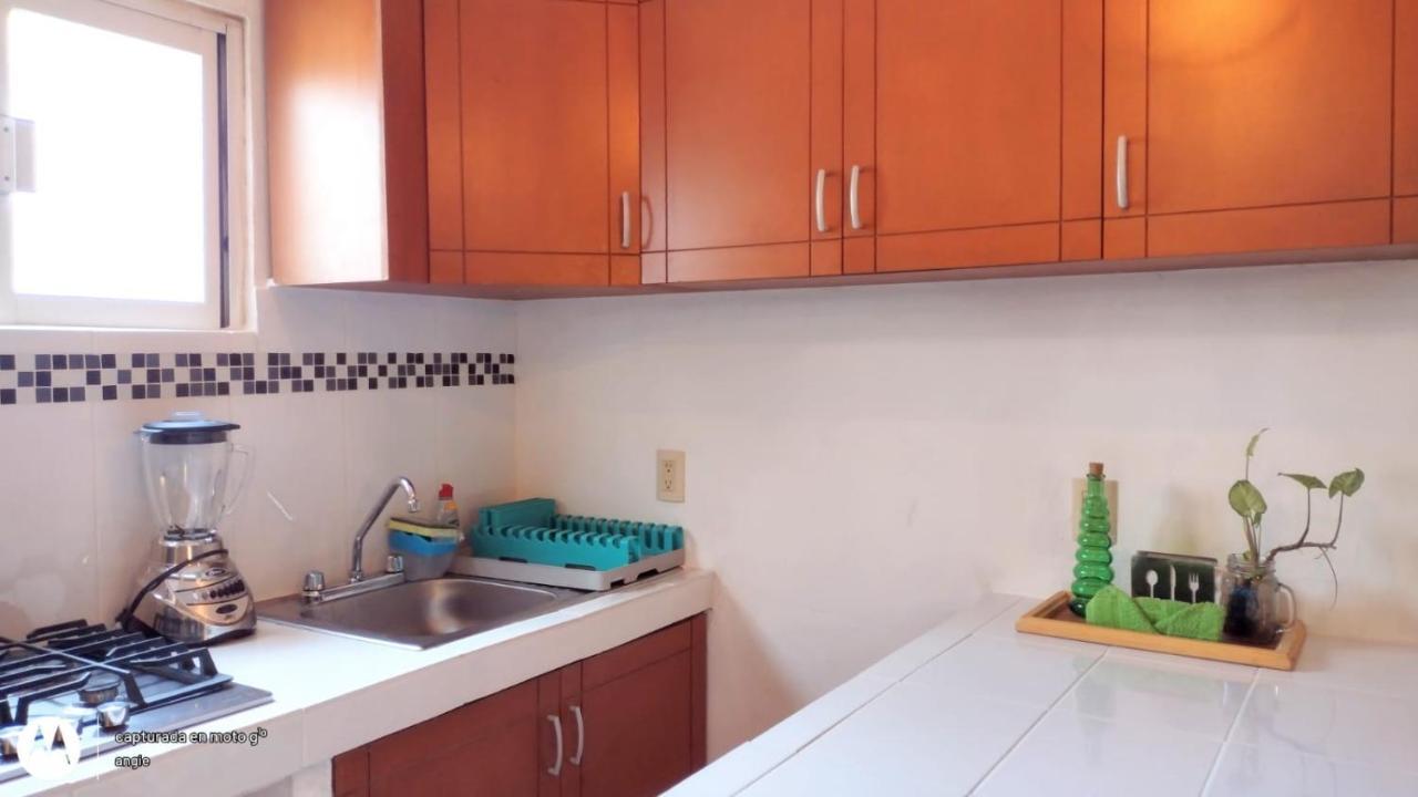 Apartment Loft Milan En Versalles *