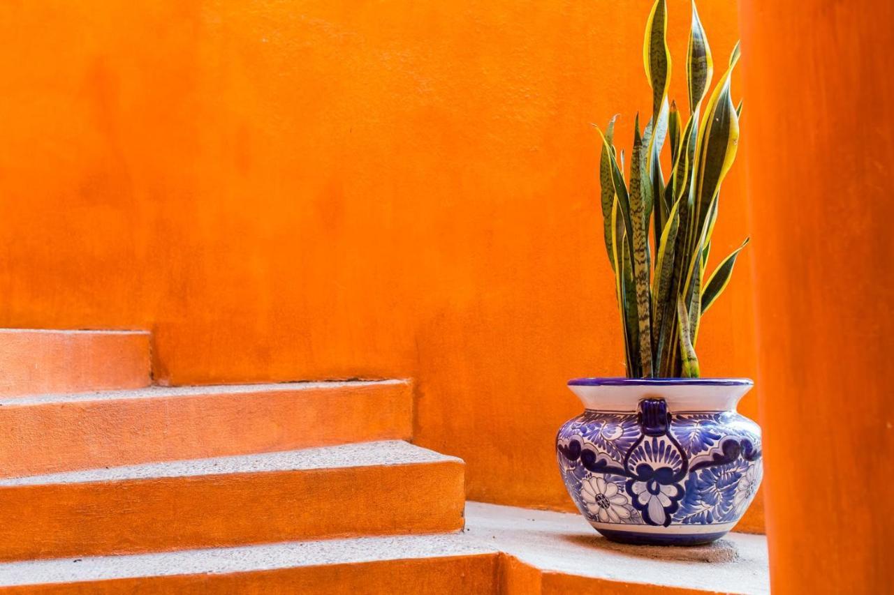Villa Orange Sunsets, Lush Landscape, Intown, Privacy Puerto Vallarta