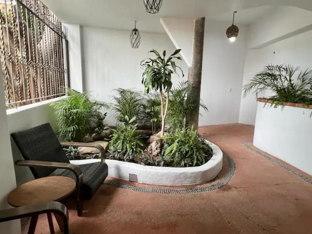 Apartamento Bambu In Heart Of Romantic Zone