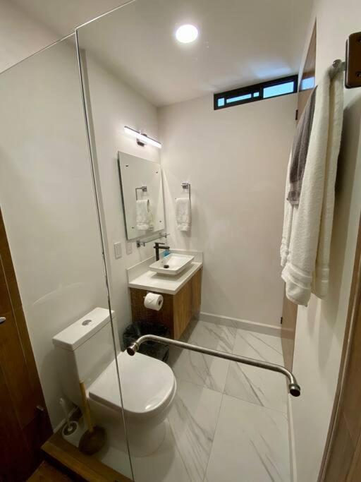 Apartment New Beautiful Rooftop & Romantic Ocean Views Puerto Vallarta
