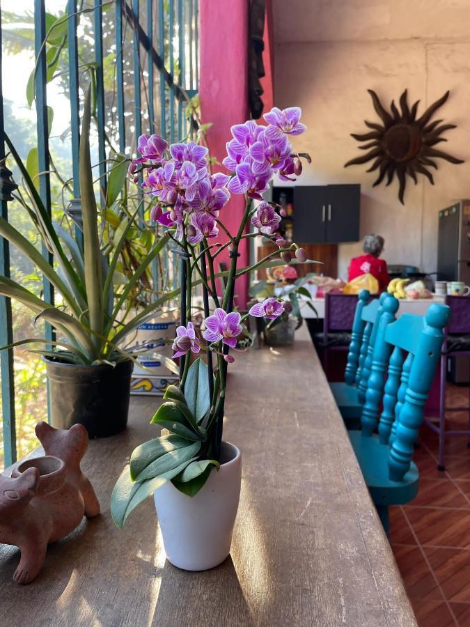 Guest house Casa Rio Cuale And River Retreat