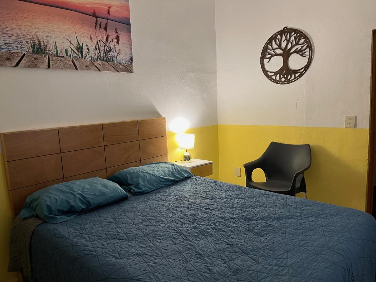 Palmier -quiet Cosy Air Conditioned Terrace * Puerto Vallarta