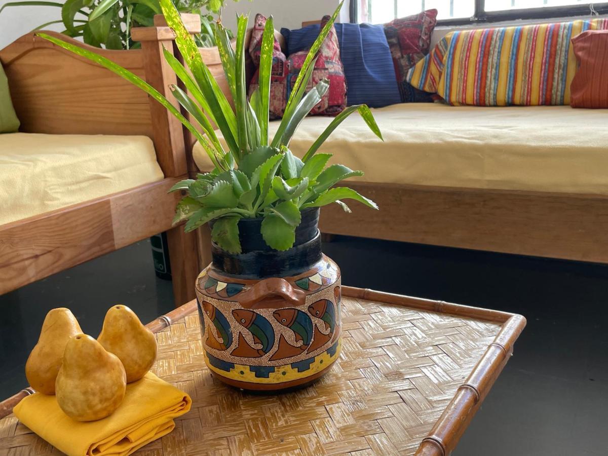 Hostal Vive Alegria Puerto Vallarta