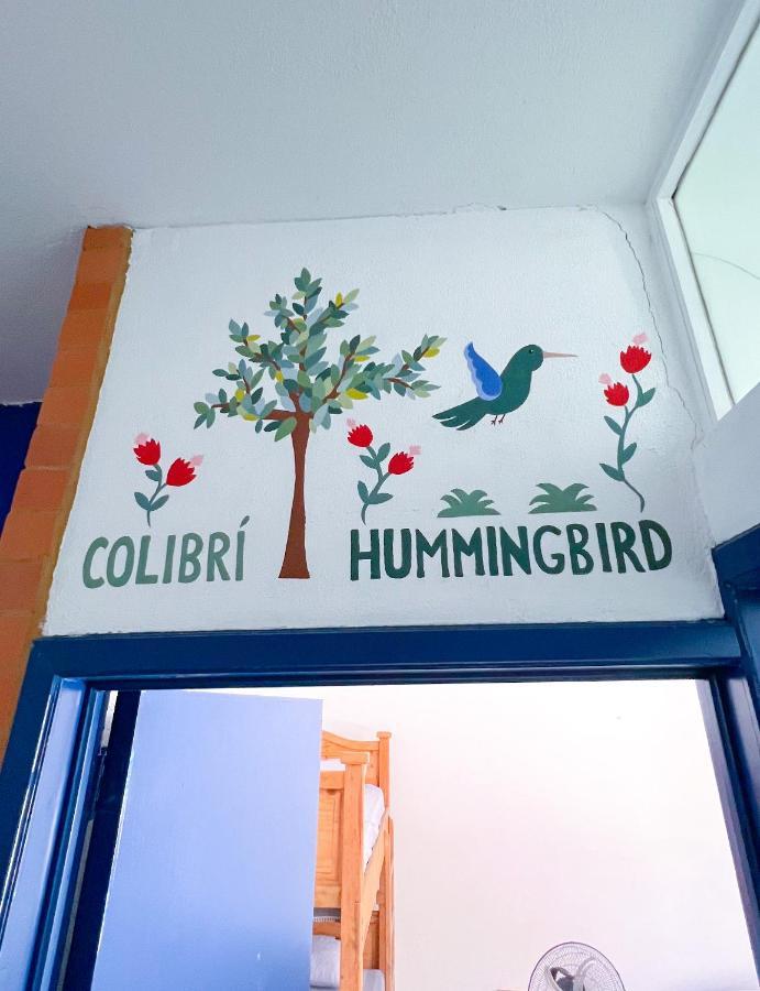 Vive Alegria Hostal *