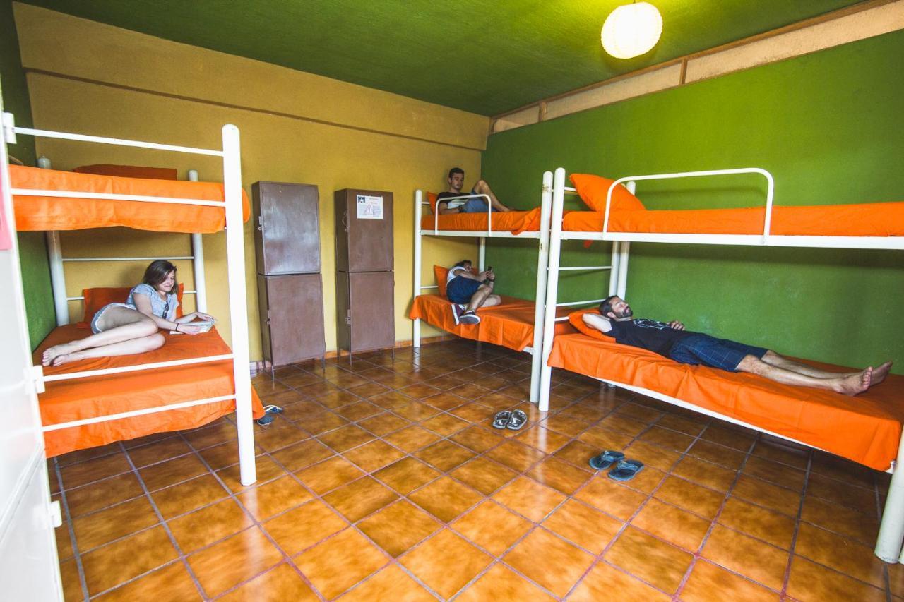 Oasis Hostel *