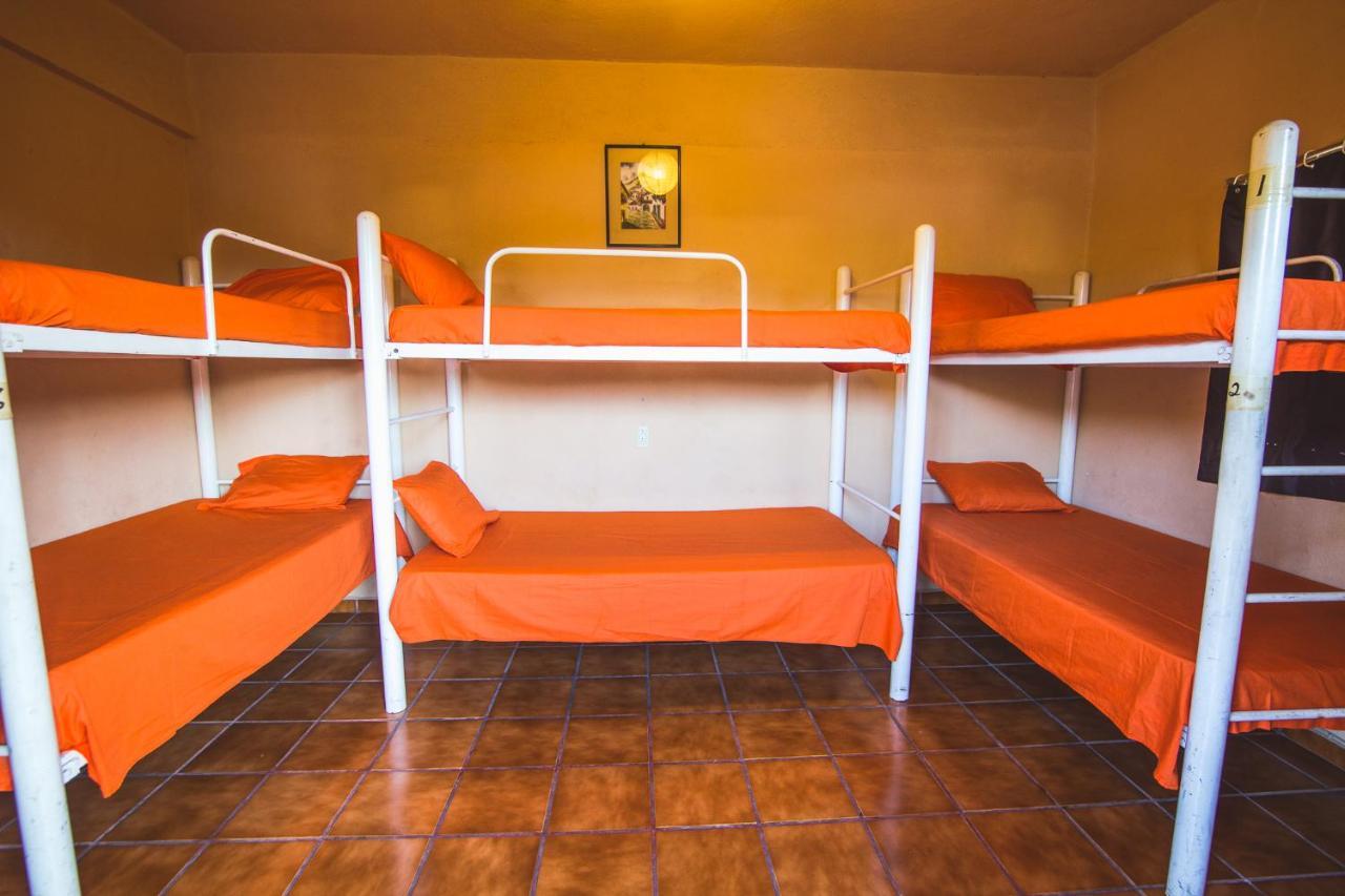 Oasis Hostel
