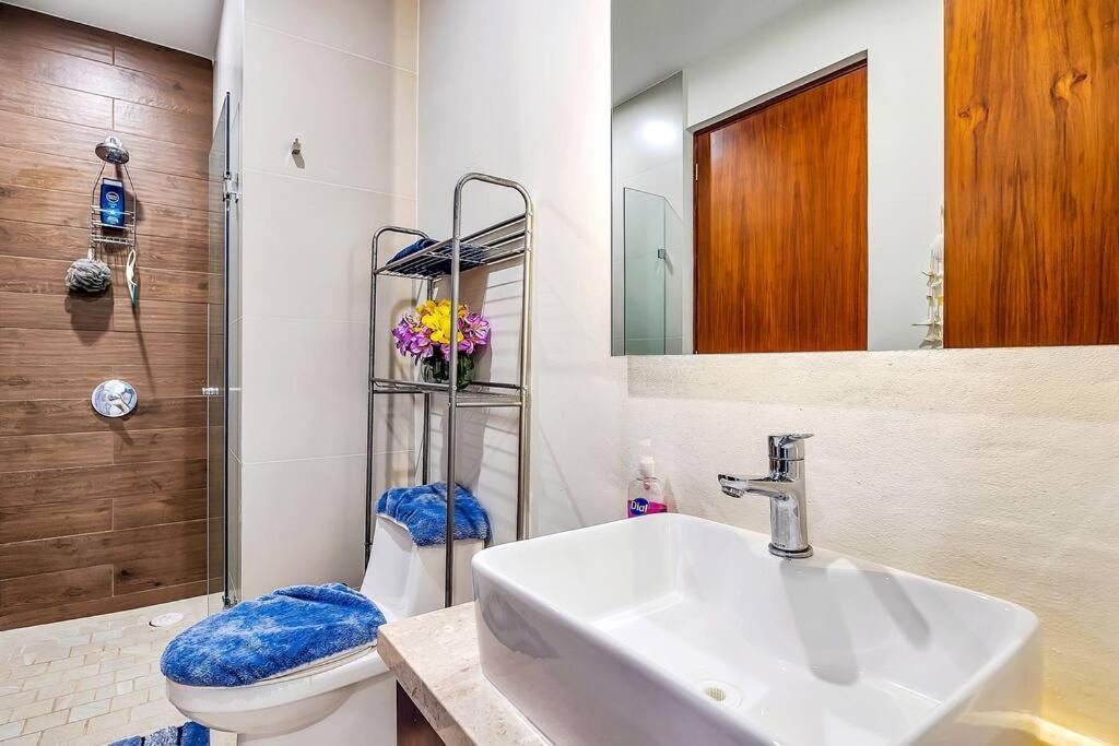Apartment A Few Breezy Steps To The ~luxurious Stay~ Puerto Vallarta