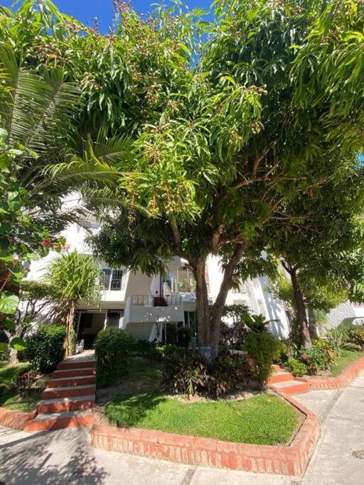 Luxury And Comfort In The Heart Of Vallarta Puerto Vallarta
