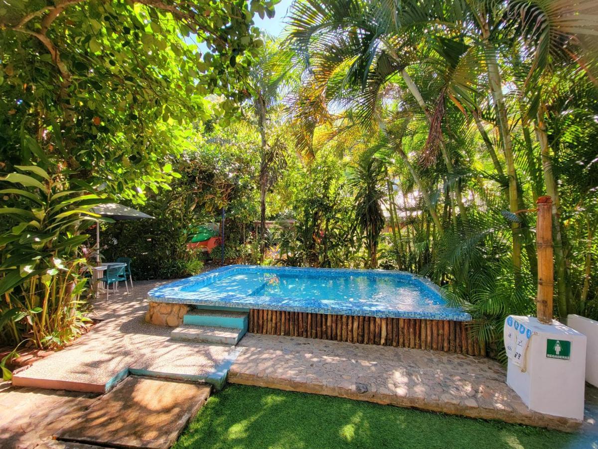 River Front Casa Antahkarana Nogalito 8 Apartment Puerto Vallarta