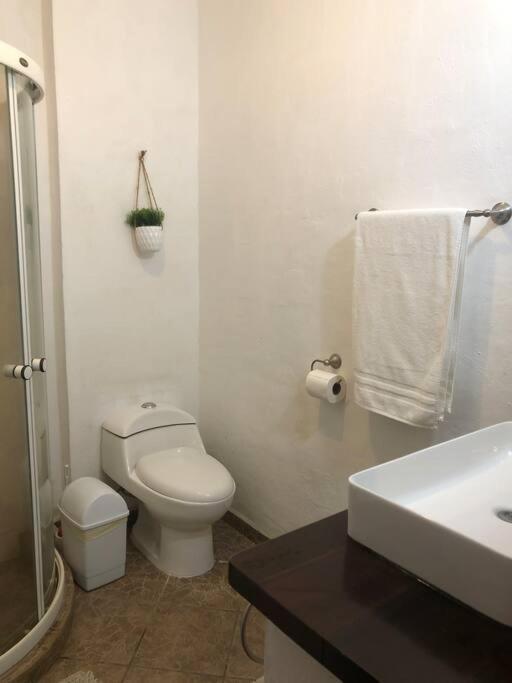 Centrally Located 1 Block From Beach, Quiet 2 Bedroom With Pool Apartamento