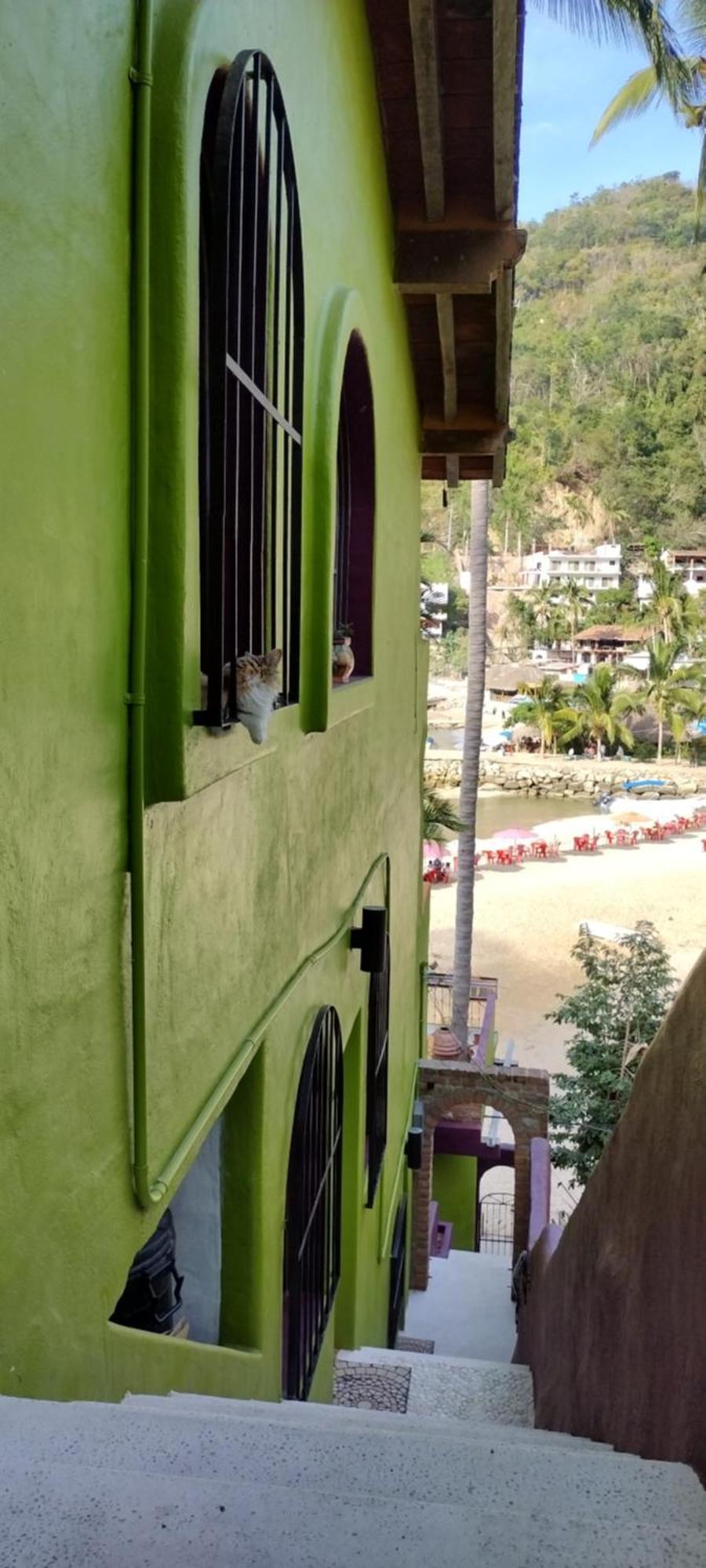 Del Amor Apartment Puerto Vallarta