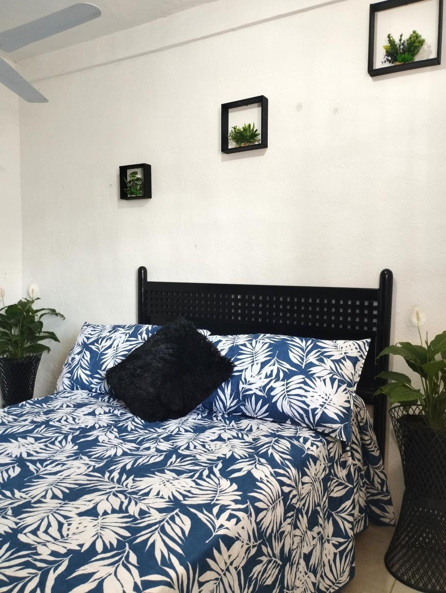 Homestay La Buena Vibra Puerto Vallarta