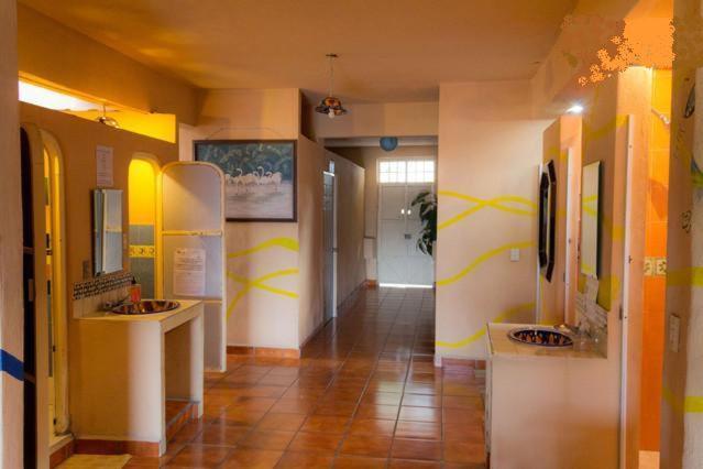Hostel Oasis *